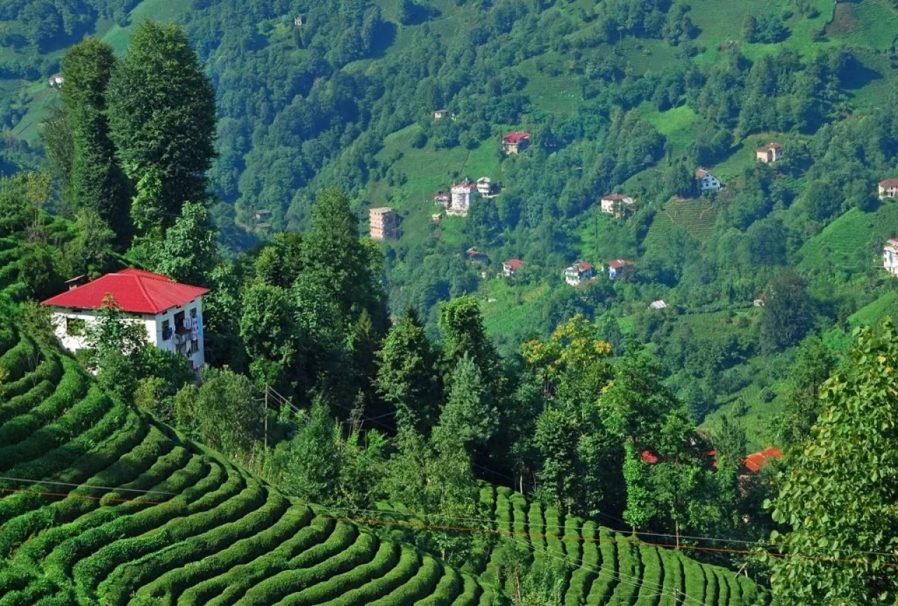 BKM’den İddialı Karadeniz Dizisi! Bulutların Üzerinde Konusu ne?