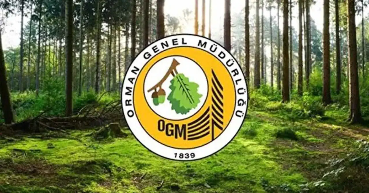 OGM işçi alımı başlıyor! 2025 başvuruları ve şartlar açıklandı