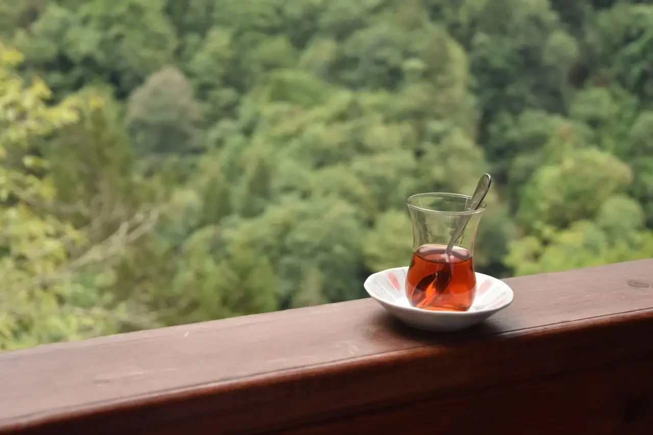 Çay İçenlere Kötü Haber! “Zehir Gibi Alışkanlık” mı? Çayın Az Bilinen Zararları Şaşırttı!