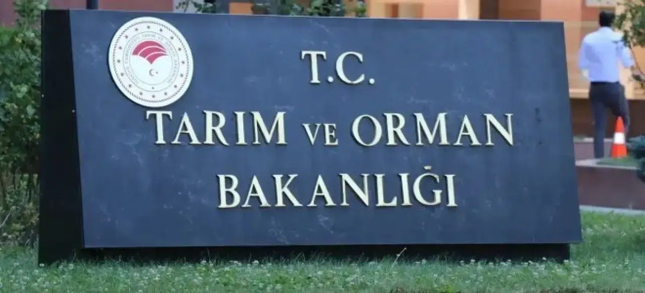 Salamda Domuz, Baldan Şurup Fışkırdı! İşte Kara Listeye Giren Gıdalar
