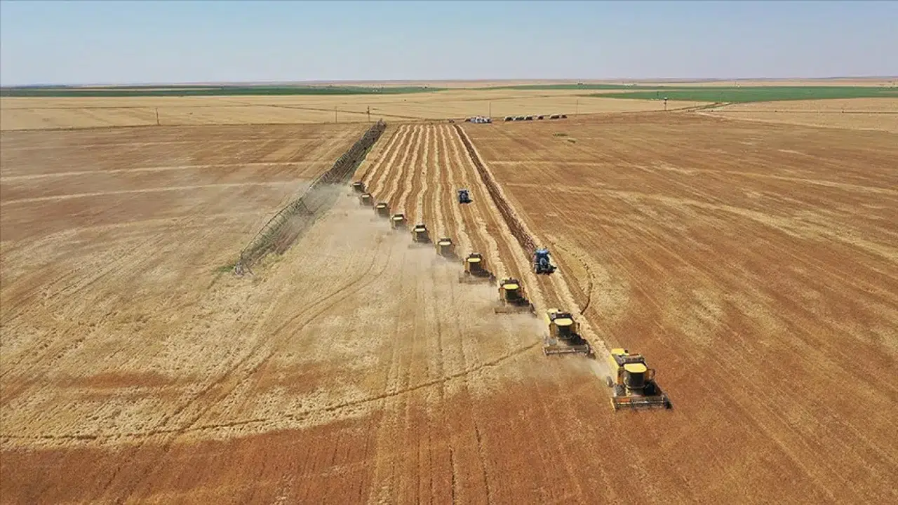 Boş kalan tarlalar kiralanacak: Bakanlık 1 Eylül’de süreci başlatıyor