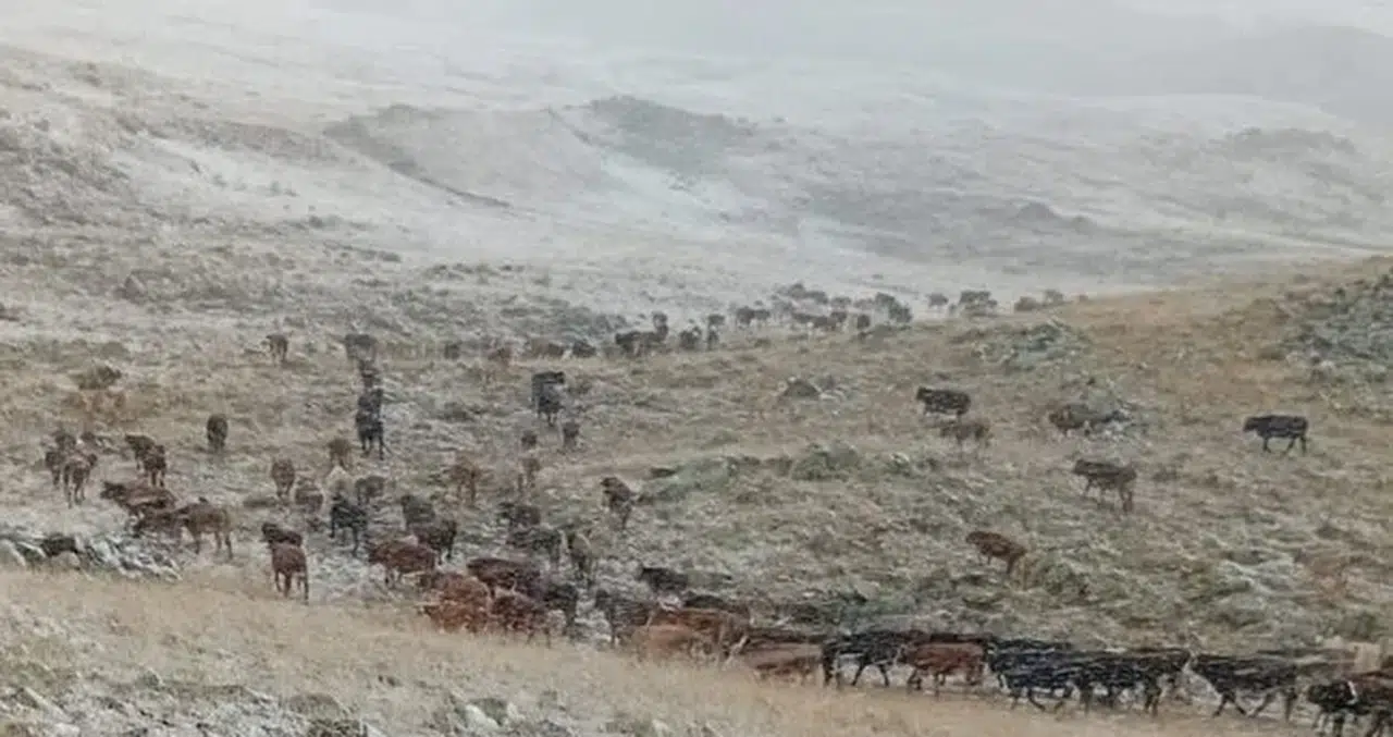 Erzurum’da Kartpostallık Anlar: Palandöken’e Yılın İlk Karı Düştü
