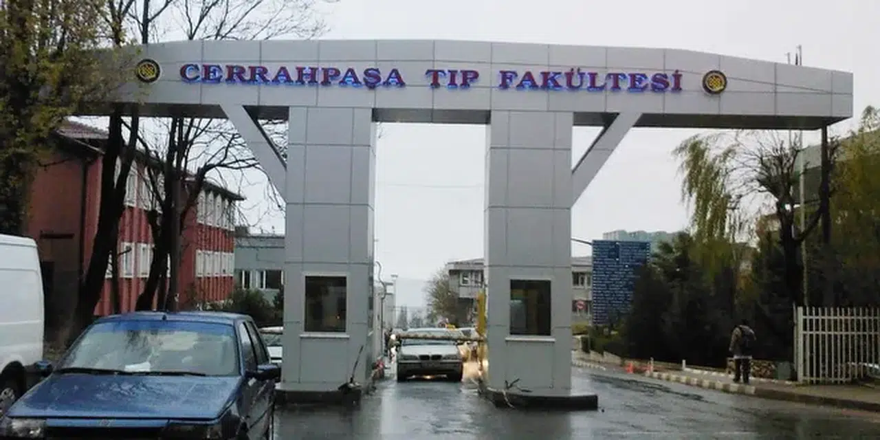 İstanbul Üniversitesi-Cerrahpaşa Bilişim Personeli İlanı: Şartlar, Tarihler ve Başvuru Ekranı