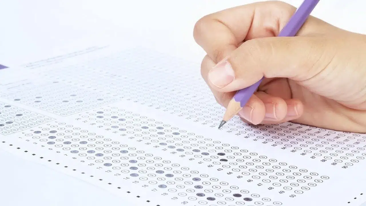 TIPDİL Sonuçları Ne Zaman Açıklanacak? İşte Güncel Beklentiler ve Süreç Hakkında Tüm Detaylar