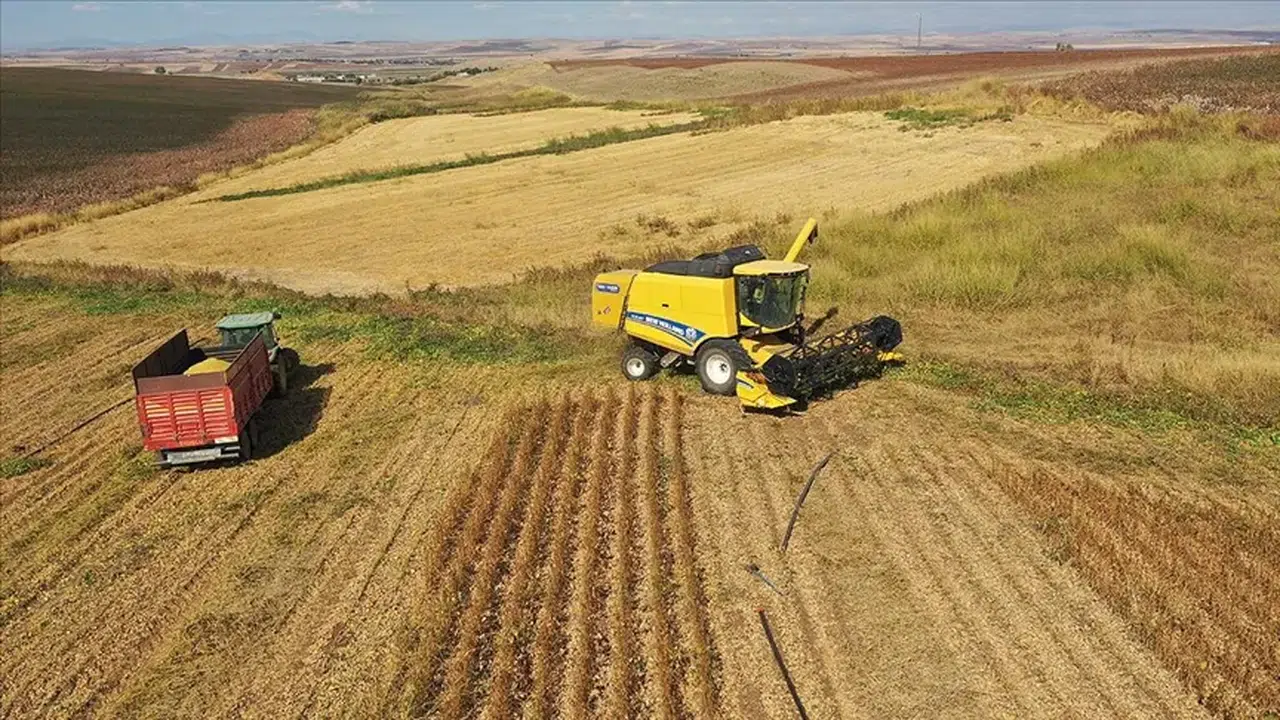 Kiralık tarla başvurusu 2025: Şartlar ve kira bedeli açıklandı