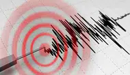 Suriye'de 4,1 Büyüklüğünde Deprem: Türkiye'den de Hissedildi
