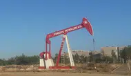 TPAO 2025 Personel Alımı Başladı: Başvuru Tarihleri, Kadro Dağılımı ve Şartlar