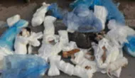 İzmir Buca’da kan donduran manzara: Çöp kenarında 33 cansız kedi bulundu