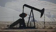 Küresel petrol arzında temmuz ayı verileri açıklandı