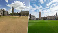 Londra simge meydanlarında kuraklık kaynaklı renk değişimi yaşanıyor
