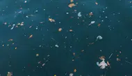 Akdenizdeki plastik kirliliğinin ana sorumlusu nehirler