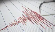 Endonezya Flores bölgesinde şiddetli deprem paniği