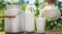 Sağlık İçin İçiyoruz Sandık, Meğer Mikrop Yuvasıymış! Çiğ Süt Gerçeği Ortaya Çıktı