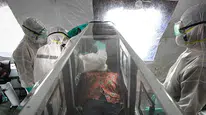 Ebola paniği büyüyor: Nijerya’da yüksek risk alarmı