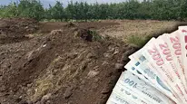 Tarım sektöründe iş gücü krizi maliyetleri gölgede bıraktı