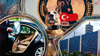 Makam aracını uyuşturucu sevkiyatında kullanan iki şoför tutuklandı
