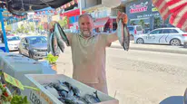 Karadeniz kıyılarında palamut sezonu hızlı başladı