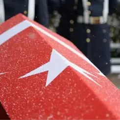 Yalova'da Şehit Düşen İlker Pehlivan: Hayatı ve Kökeni Hakkında Merak Edilenler