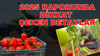 TÜİK’in 2025 raporunda dikkat çeken detaylar