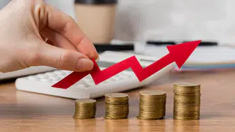 Ağustos 2025'te temettü verecek şirketler belli oldu: Kim, ne kadar kar payı dağıtacak?