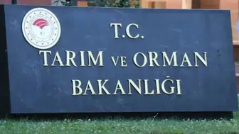 Salamda Domuz, Baldan Şurup Fışkırdı! İşte Kara Listeye Giren Gıdalar