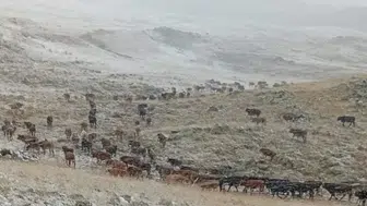 Erzurum’da Kartpostallık Anlar: Palandöken’e Yılın İlk Karı Düştü