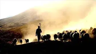 Tunceli’de Çoban Ücretleri Belli Oldu: 130 bin TL’ye Kadar Çıkıyor