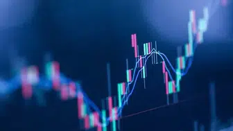 Özsermaye Kârlılığı Belli Oldu: 2025’in İlk Yarısında Zirveye Çıkan Şirketler