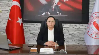 Nazlı Demir (biyografisi) kimdir, kaç yaşında? Göç İdaresi Daire Başkanı hangi görevlerde bulundu?