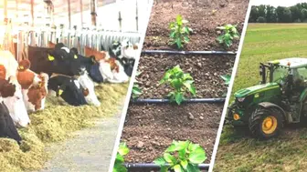 Tarım Sektörüne Destek: Çiftçilere Dekar Başına 310 TL Mazot ve Gübre Desteği Müjdesi!