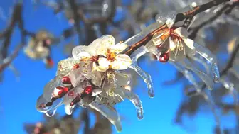 Cemre'nin İkinci Düşüş Tarihi Belli Oldu! Suya Ne Zaman Düşecek?