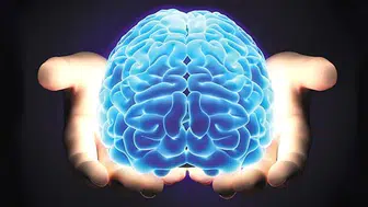 Sürekli Erteleyen İnsanların Beyni Nasıl Çalışıyor?