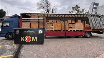 Sakarya'da 3 Milyondan Fazla Boş Makaron Yakalandı!