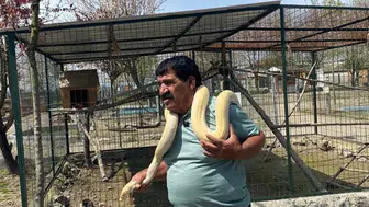 4380 Selim Abik Kimdir? Dolandırıldı mı, Öldü mü, Mesleği Ne?