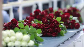 Sevgililer Günü'nde Kırmızı Gül Fiyatları Yükselişte: 14 Şubat'ta Sokak Çiçekçilerinde 1 Adet Gül Kaç TL Olacak?