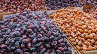 1 Hurma Kaç Kalori | Yaş Hurma Kalorisi Ne Kadar? Hurma Kilo Aldırır mı?