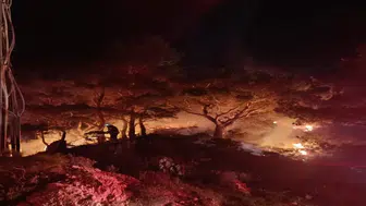 Bodrum’da ormanlık alanda korkutan yangın! Alevler geceyi aydınlattı