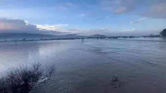Söke'de yoğun yağışlar Sarıçay'ı taşırdı, tarım arazileri ve yerleşimler tehdit altında!