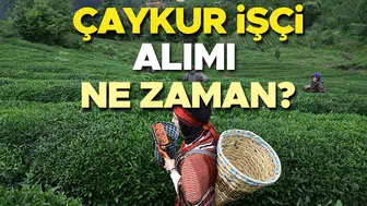 ÇAYKUR işçi alımı başvurusu 2026 son durum | Çaykur işçi alımı başvuru tarihi belli oldu mu, hangi fabrikaya kaç kişi alınacak? Çaykur mevsimlik işçi alımları başladı mı? Gözler takvim açıklamasında!
