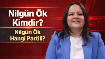 Nilgün Ök Kimdir, Hangi Partili?