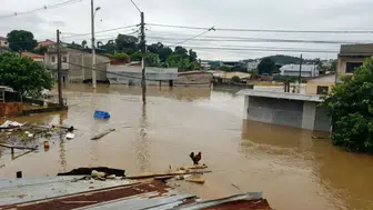 Lo siento Wilson ne demek? Lo siento Wilson olayı ne?