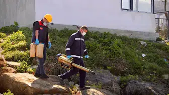 Giresun'da Zararlılarla Mücadele İçin İlaçlama Faaliyetleri Başladı