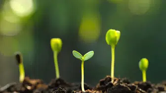 Cemre Düşme Günleri 2026 | İlk Cemre Ne Zaman Düşecek? Cemreler Havaya, Suya ve Toprağa Hangi Tarihlerde Düşer?