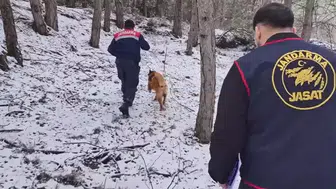 Ormanda Bulunan İnsan Kafatası ve Kemikler, 10 Yıl Önceki Çifte Cinayet Sırrını Ortaya Çıkardı!