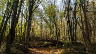 Trakya’nın Saklı Hazinesi: Kırklareli Gezilecek Yerler