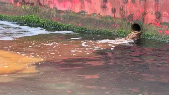 Deniz Kirliliğine Karşı Sıkı Önlemler: 25 Milyon TL'lik Cezalar Uygulandı!