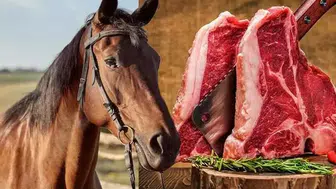 İzmir'deki Meşhur Dönerci'den Şok Eden At Eti Çıktı! Skandal Ortaya Çıktı!