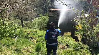 Trabzon'da Kahverengi Kokarca ile Mücadele Başlatıldı!