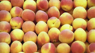 Türkiye'nin Kayısıları Dünyanın Zirvesinde: En İyi Kayısılar Listesinde Yerimiz Ne Kadar Üst Sıralarda?