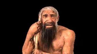 Neandertallerin Kaderi Zekalarında Değil: Genetik Bir Yutulma mı Yaşadılar?